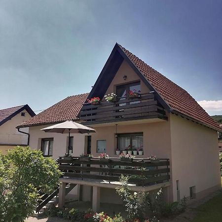 Hotel Putnicka Kuca Kod Dragane Bajina Basta Exterior foto